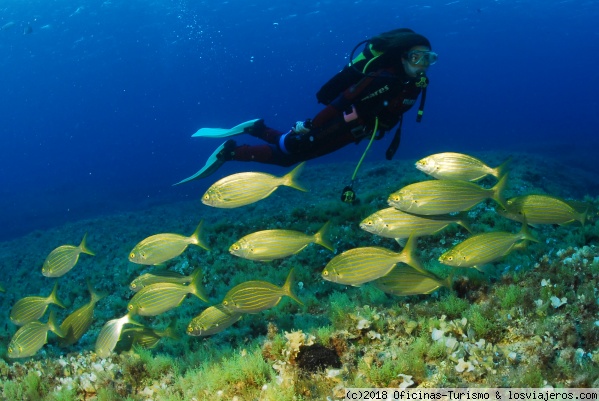 Puntos de inmersión en Formentera - Islas Baleares