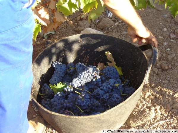 Enoturismo Ribera del Guadiana, otoño 2022 - Turismo Enológico en España - Bodegas en Aranda de Duero ✈️ General Forum Spain