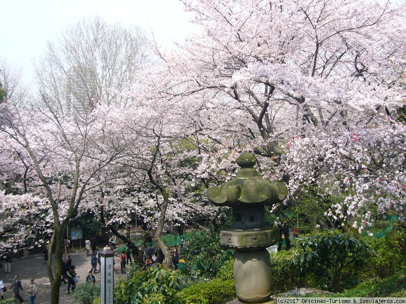 Maratón de Tokio 2023 - Japón (3)