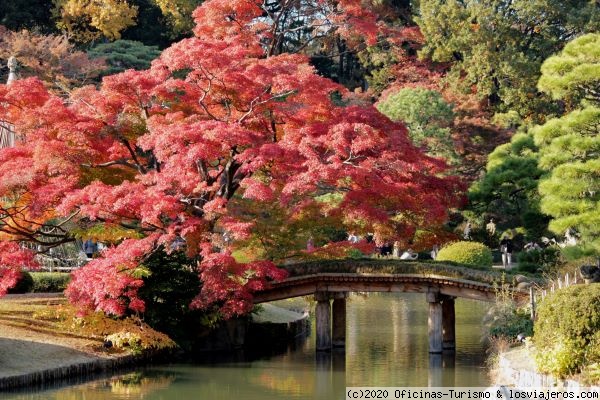 Viajar en Otoño a Tokio - Japón - Qué Visitar en Tokio: Shinjuku, Ginza, Akihabara, Shibuya... - Foro Japón y Corea