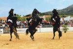Feria Caballos de Raza Menorquina, Menorca