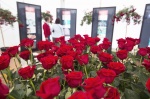 Feria de la Rosa, fiesta de la primavera en Roses - Girona