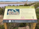 Itinerario ornitológico del Camí des Brolls’ Formentera
