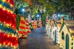 Mercadillos, Fiestas de Navidad, Fin de Año y Reyes en Madeira - Portugal