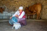 Museo Binissuès en Ferreries - Menorca