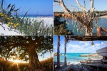 Formentera - Islas Baleares
Formentera, Islas, Baleares, Visualmente, isla, espectáculo, capaz, sorprender, hasta, más, escéptico
