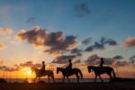 Formentera: paseos a caballo
Formentera, Rutas, Formentes, paseos, caballo, para, vivir, experiencia, admirando, paisaje