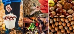 Castañas y otros frutos del Otoño - Sierra de Huelva