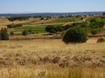 Fresnillo de las Dueñas - Burgos
Fresnillo, Dueñas, Burgos, Sendero, Aromáticas, Ribera, Duero, Burgalesa