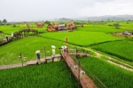 Campos de arroz en Nan - Tailandia