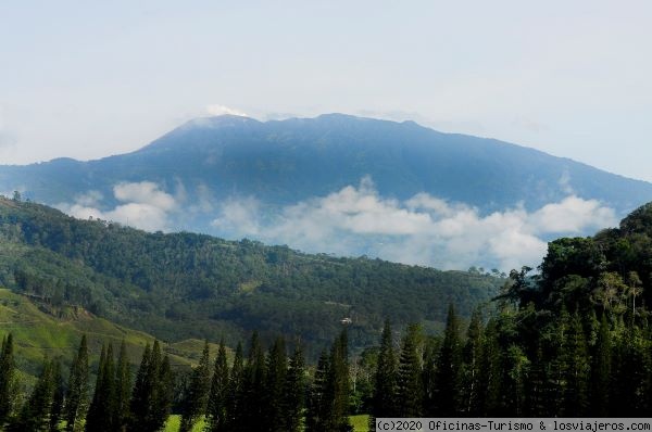 Pura Vida para dos,  Costa Rica - Costa Rica - mitigar deforestación con Google Earth Engine ✈️ Foro Centroamérica y México