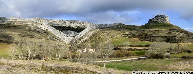 Espacios naturales de Burgos para celebrar la biodiversidad - Cinco bosques en la provincia de Burgos ✈️ Forum Castilla and Leon