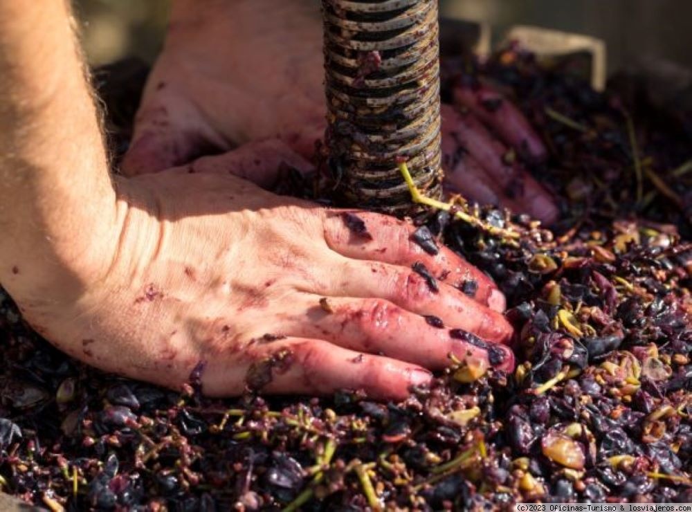 Rioja Alavesa: Actividades Enoturismo Septiembre, Octubre - Rioja Alavesa en verano: Enoturismo, Ruta del Vino, Visitar