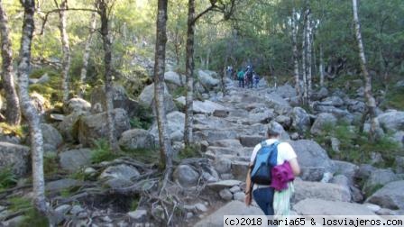 NORUEGA  EN TRANSPORTE PUBLICO: CIUDADES, FIORDOS Y ATRACCIONES - Blogs de Noruega - Preikestolen o Pulpit Rock (4)