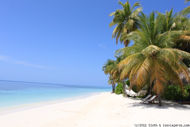 Foro de Playas De Maldivas: Playa en Maldivas