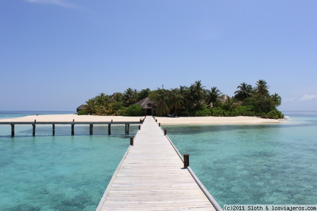 ¡Maldivian Dream!