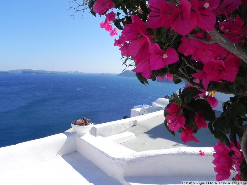 Forum of Sifnos: Blanco, azul y rosa en Santorini.