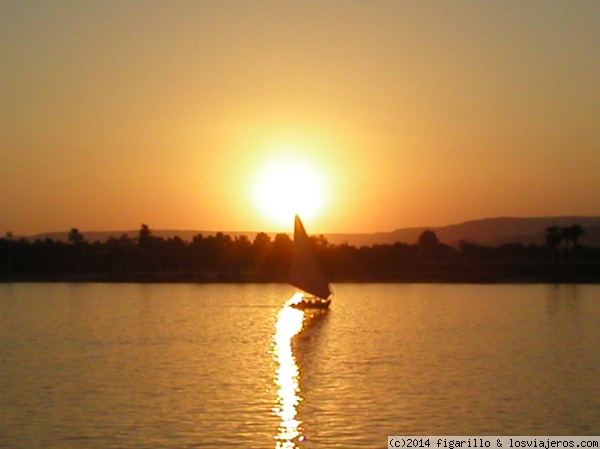 Faluca por el Nilo
La embarcación tradicional egipcia en un bella puesta de sol en el Nilo.
