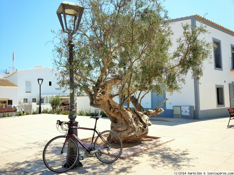 Viajar a  España: Bici - Bicleta a la sombra. Formentera (Bici)