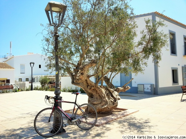 Recorrer los rincones con mas encanto de Formentera en familia (2)