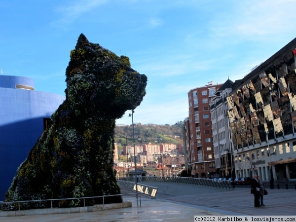 Puppy
Precioso día de invierno, raro en Bilbao, tan azul, tan limpio... y Puppy recortado en el cielo. Puppy es el perro guardián del museo Guggenheim-Bilbao.
