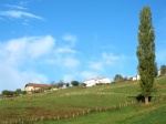 Valle de Carranza (Bizkaia)