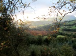 Valle de Carranza (Bizkaia)