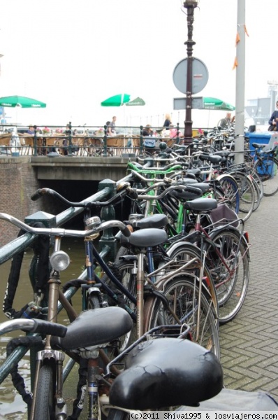 Bicicletas en Amsterdam
El medio de transporte más utilizado en Holanda, país de terreno llano

