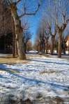 Paseo - Puigcerdà (Girona)