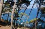 Arboles y mar - Girona