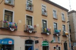 Cows in Figueres (Girona)