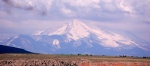 El volcán Erciyes Dagi en Capadocia
Erciyes-Dagi Capadocia Turquia Turkey