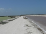 Zonas salinas Ría Lagarto
Zonas, Ría, Lagarto, Reserva, Biosfera, salinas