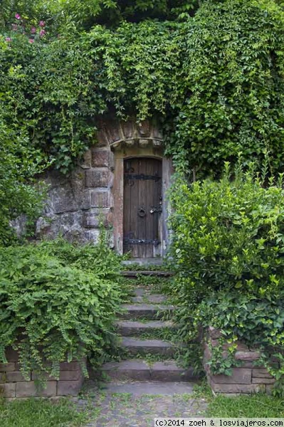 Baden Baden
Jardín en Baden Baden
