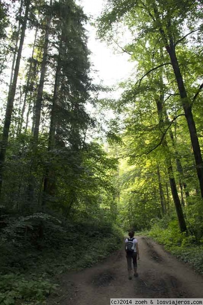 Stein am Rhein, Cataratas del Rin, Wutach y Titisee - Descubriendo la Selva Negra (3)