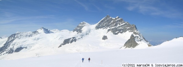 Vista de Jungfrau
Vista de la cima de Jungfrau desde el camino que va hasta el refugio de Mönschjoch
