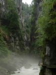 La garganta del río Aare
Aare, Mañana, garganta, río, niebla