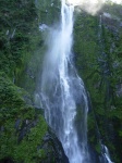 Go to photo: Stirling Falls in Milford Sound