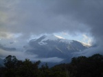 Surroundings of Franz Josef Glacier - New Zealand