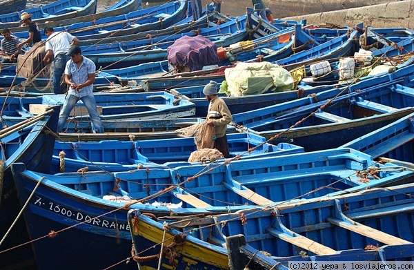 Las Barcas Pesqueras
Barcas pesqueras amarradas en el puerto de Esaouira con su peculiar color azul
