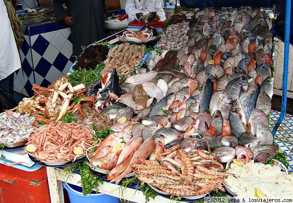 Al rico pescado!!
En Essaouira, al lado del puerto, puedes comer pescado y marisco fresco a un precio muy economico, aplicar arte del regateo jeje!!
