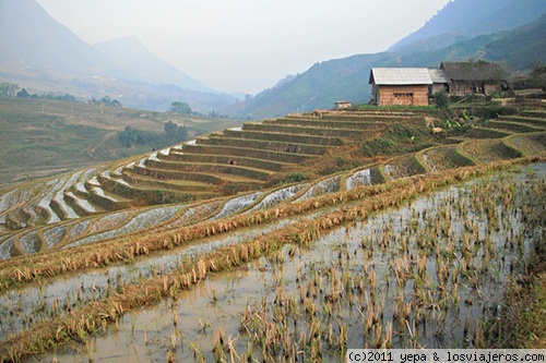 Sapa
Poblados y campos de arroz hasta que se pierde el horizonte
