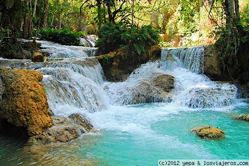 Kouang Si
estanques naturales de agua celeste perfectos para el baño
