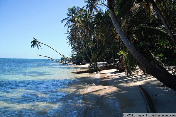 Cahuita
Playas de Cahuita
