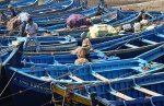 Las Barcas Pesqueras
Essaouira