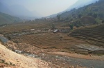 Sapa