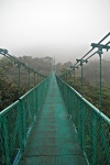 Puentes Colgantes de Monteverde