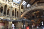 Museo Historia Natural