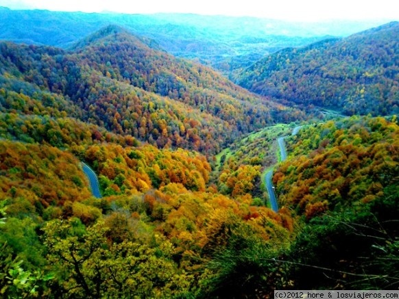 otoño
colores de otoño en un bosque de la garrotxa
