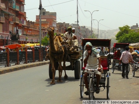 india
paseando por las concurridas calles de jaipur
